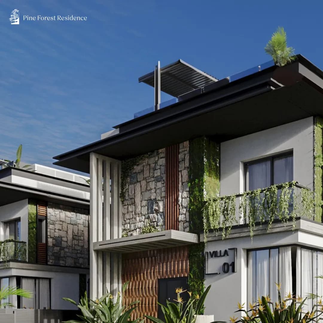 Pine Forest Residence · 1